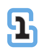 Logo for New York Section One